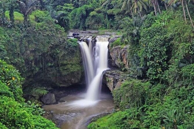 Bali Private Car Charter with English Speaking Driver Or Guide - English-speaking guidance, from friendly drivers to queue-smart help