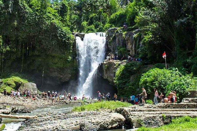 Bali Private Car Hire with Driver - The driver experience: English, personalities, and real-world tips