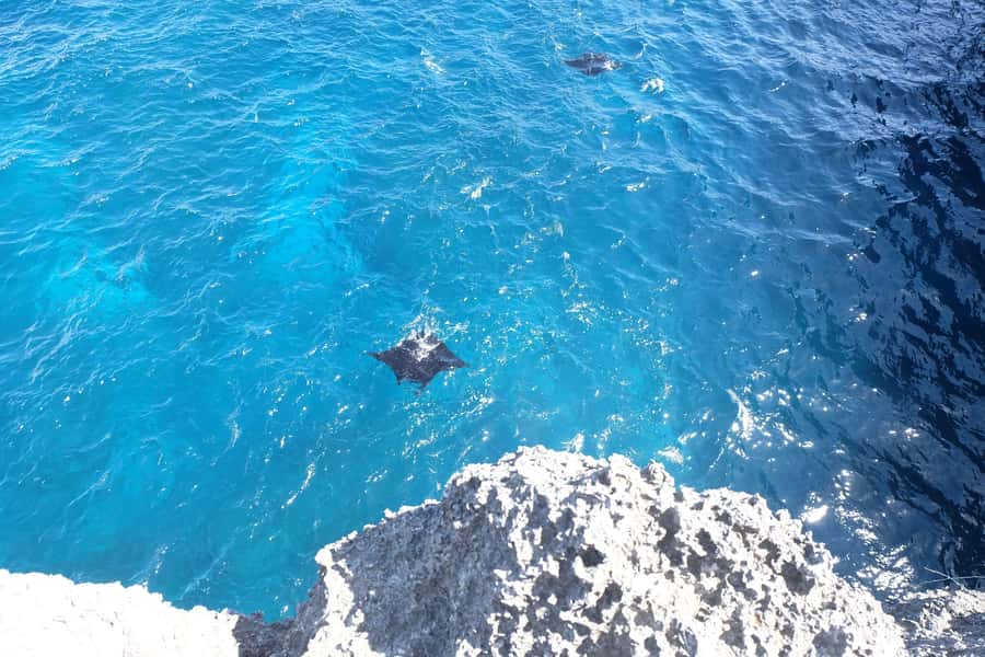 Bali: Private Car with Driver in Nusa Penida - Getting Back to Sanur: A Clean, Straight Return