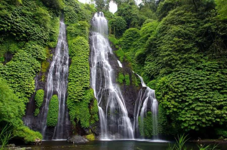 Bali Private Custom Tour – Full-Day Driver Guide (10H) - Walking time, timing choices, and the reality of a full-day schedule