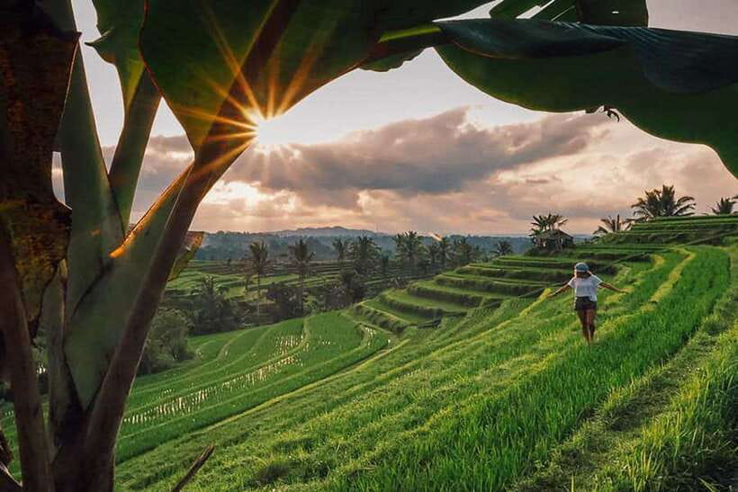Bali: Private Custom Tours with Chauffeur - East Bali and Lempuyang views: Lempuyang Temple, Tirta Gangga, and Taman Ujung