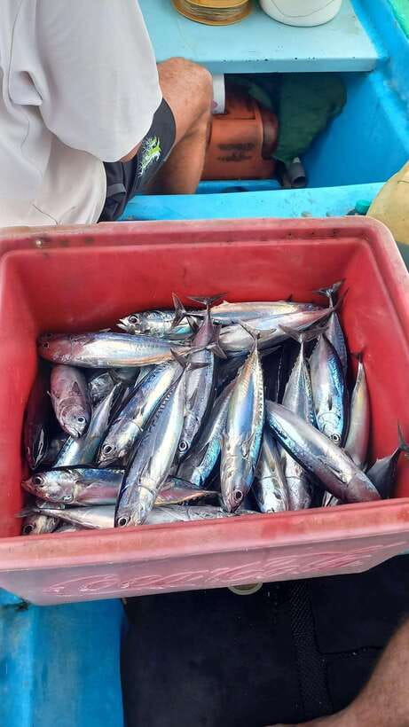 Bali: Private Fishing Trip with Lunch - The Boat Ride: Outriggers, Indian Ocean Views, and the 3 Gilis Moment
