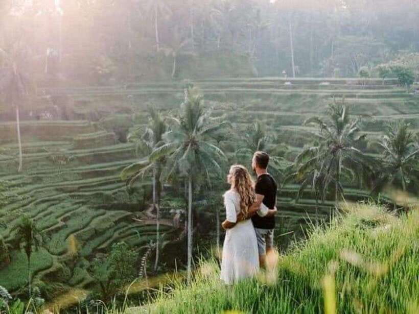 Bali: Private Full Day Trip - Ubud classics: Monkey Forest and rice terraces at human pace