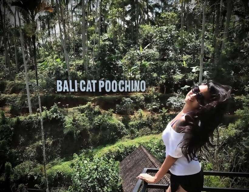 Bali: Private Full day trip Customizable tour - Pickup and Getting on the Road