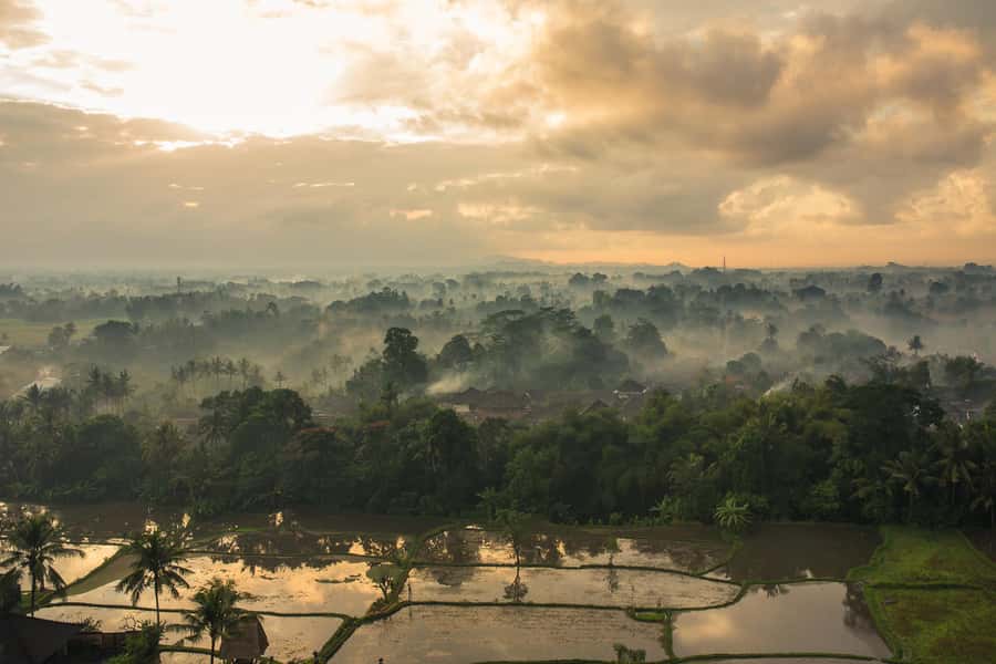 Bali: Private Hot-Air Balloon Ride - Timing and the weather factor, plan around the uncertainty