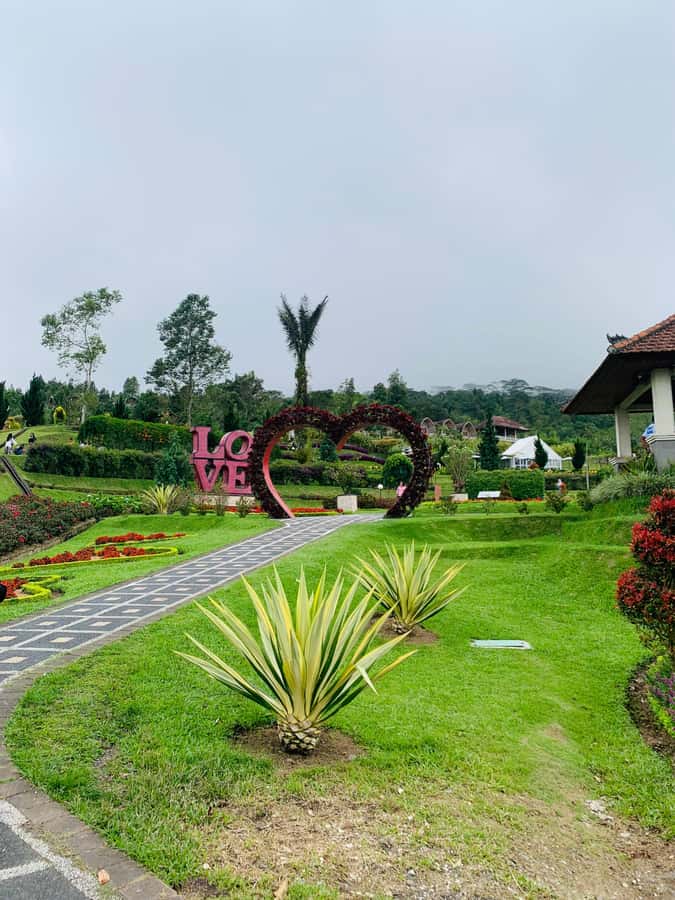 Bali: Private Tour of Jatiluwih, Ulun Danu, and Tanah Lot - Key things to know before you go