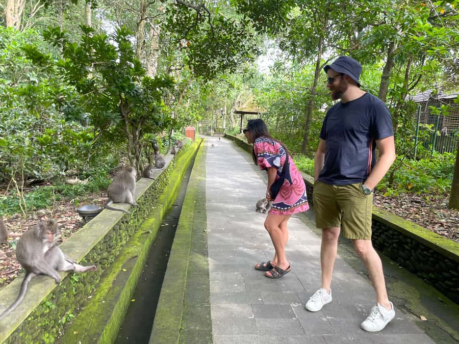 Bali: Private Ubud Highlights Tour with Customized Tour - Temple stops: how to avoid stress and follow etiquette