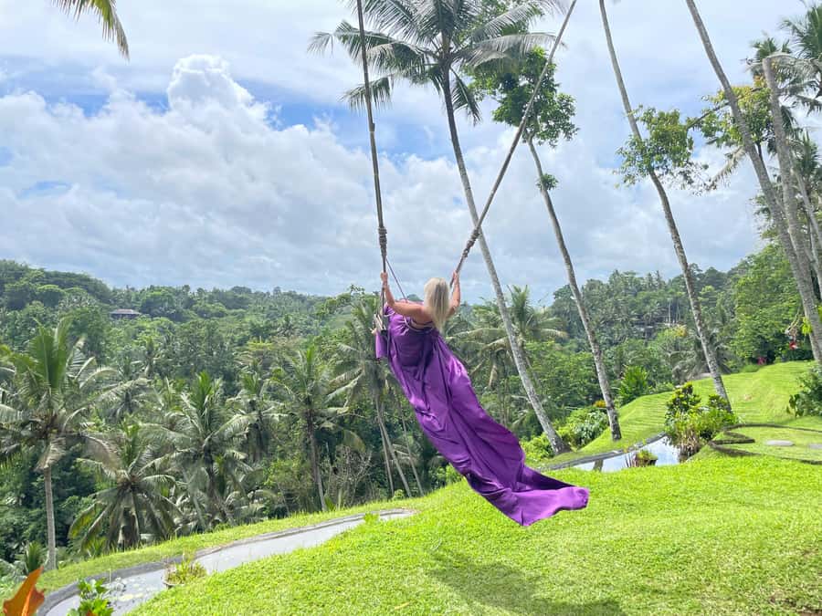 Bali: Private Ubud Highlights Tour with Customized Tour - Waterfalls and swings: the fun part, plus how to make it smoother