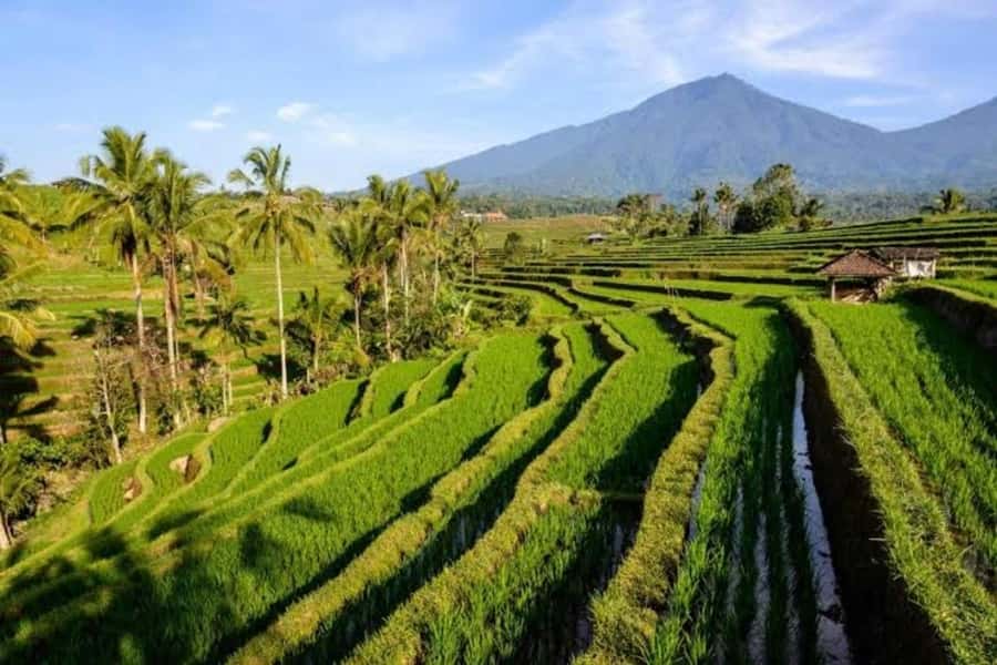 Bali: Private UNESCO World Heritage Sites Tour - Why This UNESCO Day Feels Worth It