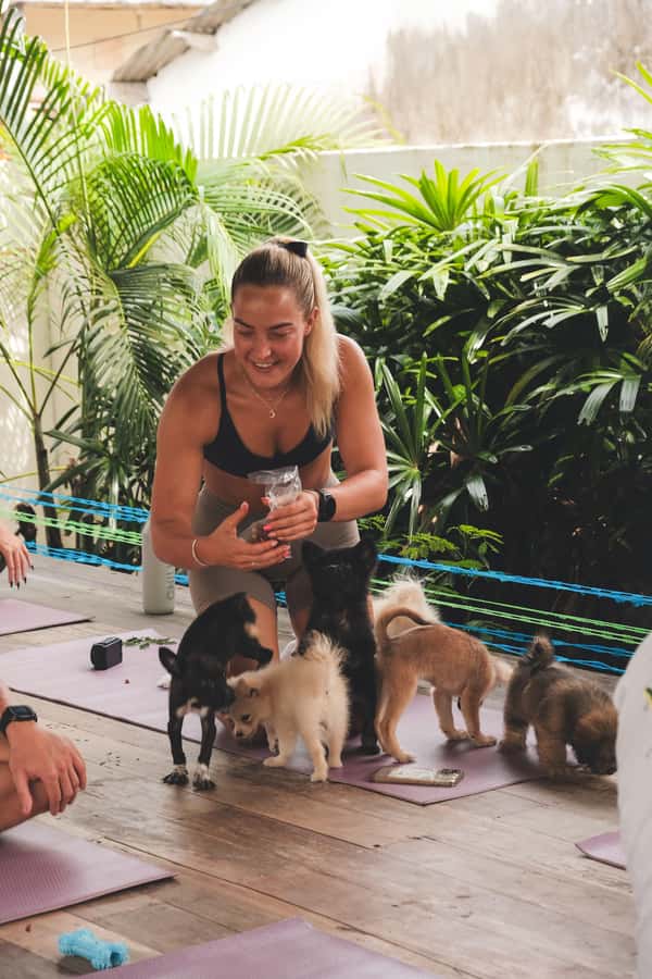 Bali: Puppy Yoga in Canggu – #1 Thing to Do - Price and value: is $40 worth it?