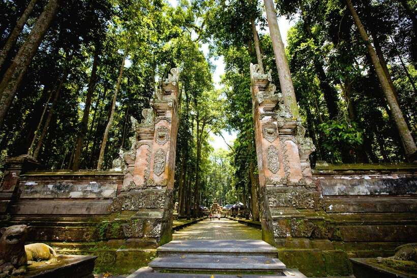 Bali: Purification Ritual at Taman Beji Griya - Key highlights you will actually use