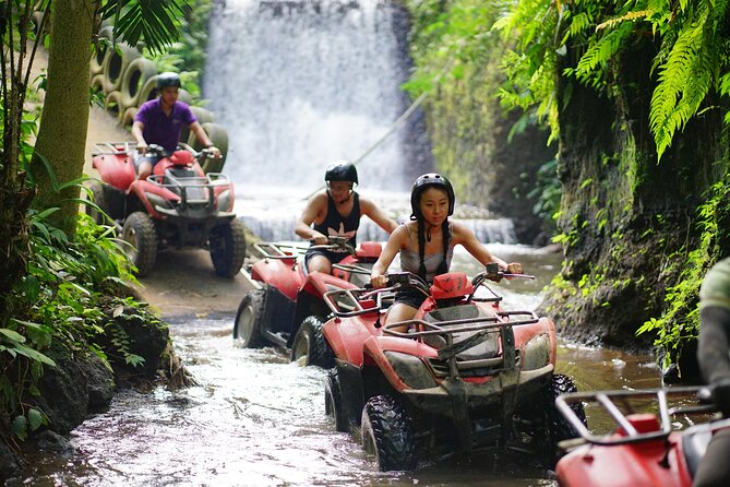 Bali Quad Bike Through Gorilla Cave - Monkey Forest and Waterfall - ATV From Ubud: More Than a Drive in the Dirt
