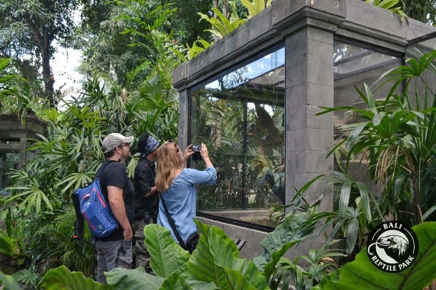 Bali Reptile Park 1-Day Admission Ticket - Your one-day reptile plan in Gianyar