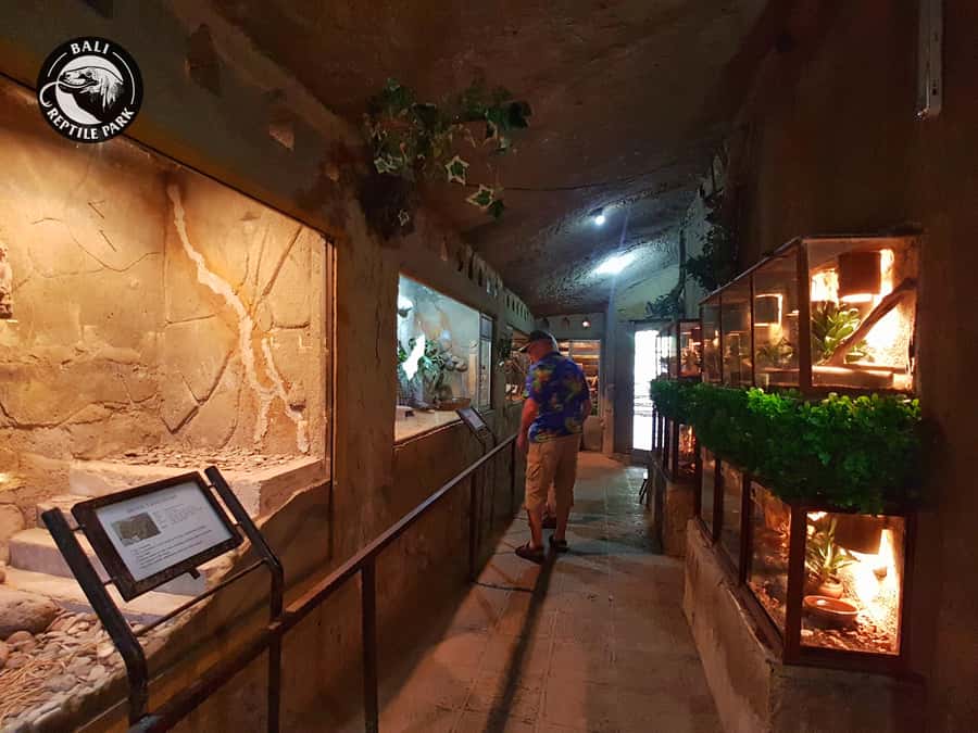 Bali Reptile Park 1-Day Admission Ticket - Turtle and tortoise area: a calmer mid-visit break