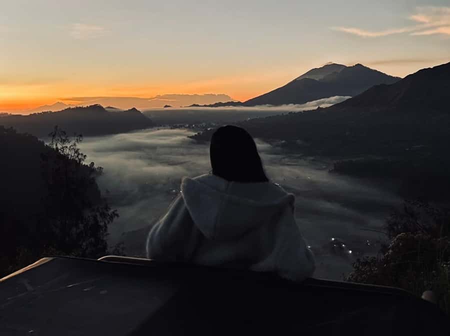 Bali: Rice Terrace & Volcano Tour with Penglipuran Village - Key Highlights Worth Your Time