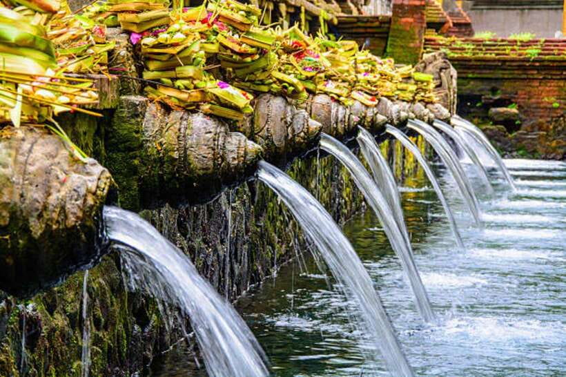 Bali: Rice terrace, Waterfall, and water Temple Day Tour - Key highlights worth getting excited about