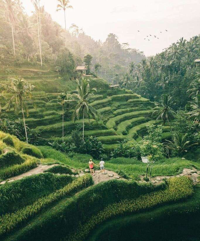 Bali: Rice terrace, Waterfall, and water Temple Day Tour - Tibumana Waterfall, where the day gets greener