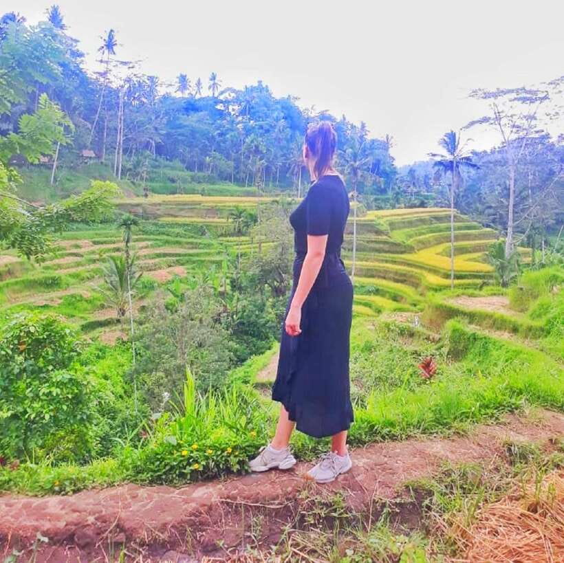 Bali: Rice Terraces, Mount Batur Geopark and more – Day Tour - Price and value: what $72 really covers in the real world