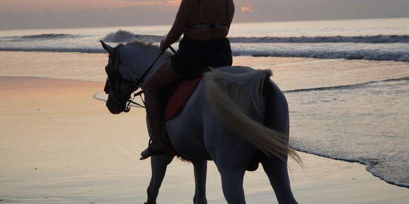 Bali: Romantic Seafood Dinner Jimbaran Beach Include Sunset - What the seafood packages actually include (Package A vs B)