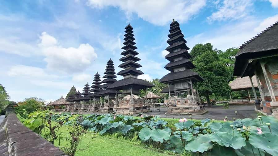 Bali: Royal Temple, Bedugul, and Tanah Lot Private Tour - Baturiti highlands: coffee farm tastings and the rice-field swing