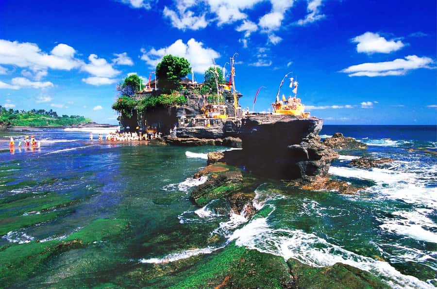 Bali: Royal Temple, Bedugul, and Tanah Lot Private Tour - Bedugul Traditional Market, Candi Kuning color, and guided scenic time
