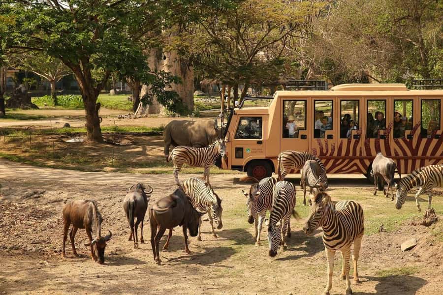 Bali: Safari Zoo and Ubud Palace and Market Day Tour - Key things I’d circle before you book