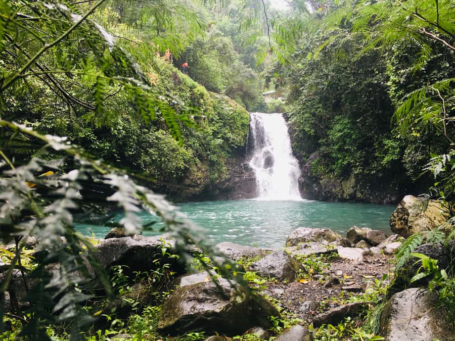 Bali: Sambangan Waterfalls Trekking, Sliding, & Jumping Trip - What to bring so the day feels easy