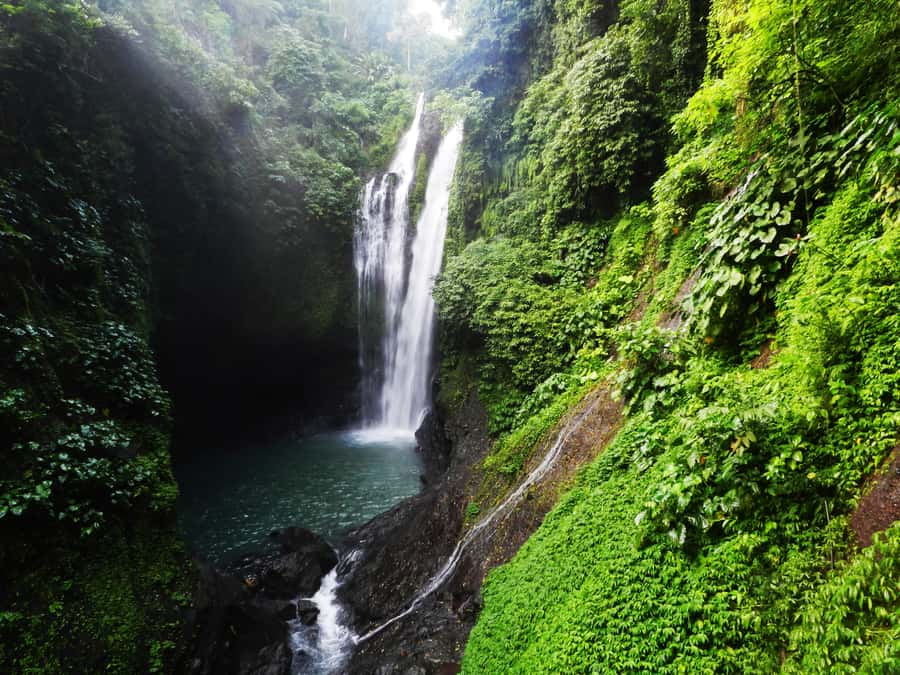 Bali: Sambangan Waterfalls Trekking, Sliding, & Jumping Trip - Sambangan village walking: rice fields, spice trees, and a real taste break