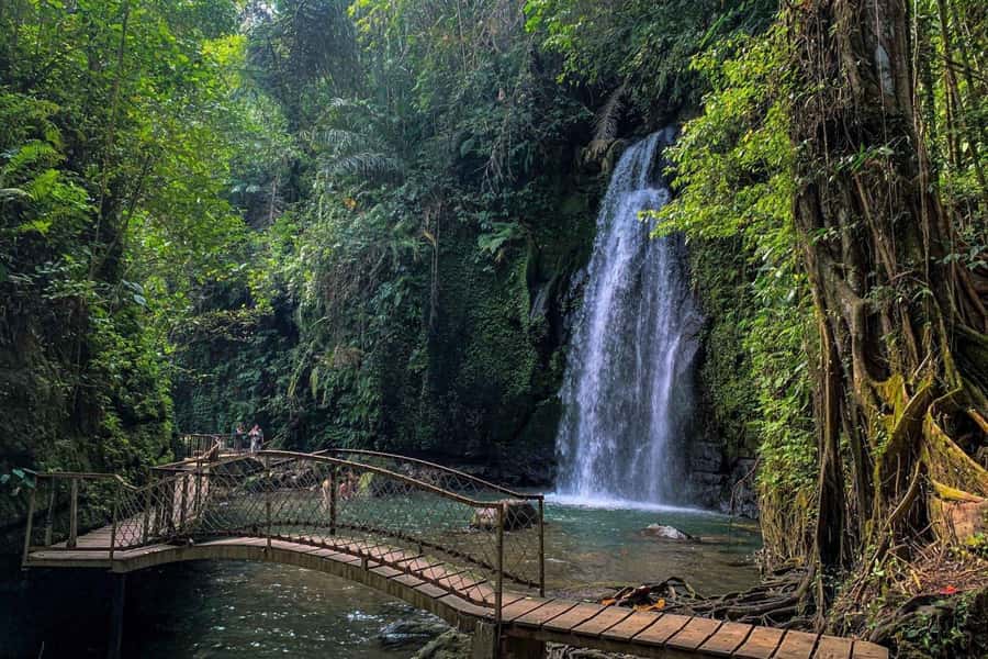 BALI :Sanctuary Monkey forest, rice terrace Water temple - Key moments you will remember