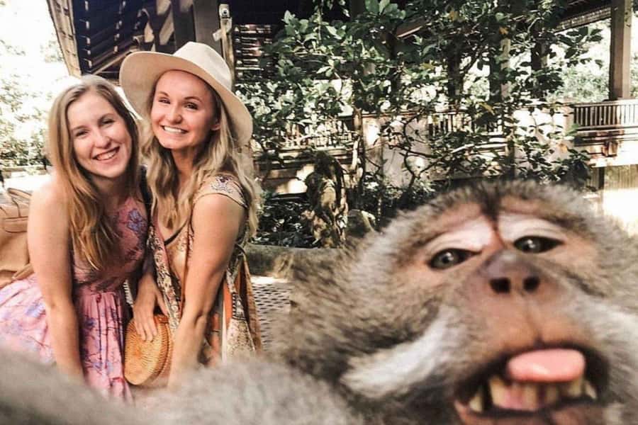 BALI :Sanctuary Monkey forest, rice terrace Water temple - How this 9-hour Ubud loop saves you from travel stress