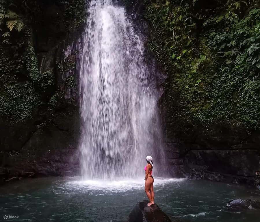 BALI :Sanctuary Monkey forest, rice terrace Water temple - Gunung Kawi Sebatu Water Temple: calm gardens and spring-fed pools