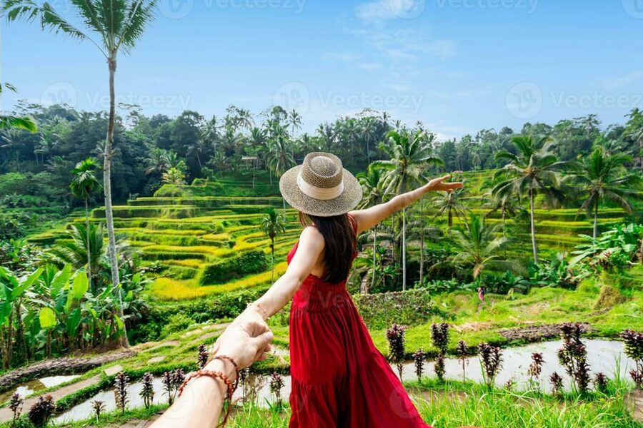 BALI :Sanctuary Monkey forest, rice terrace Water temple - Visit to Ubud Village: why a simple stop helps the day feel real