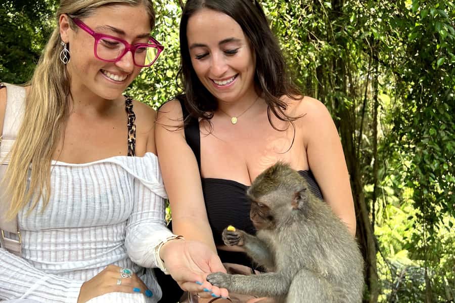 BALI :Sanctuary Monkey forest, rice terrace Water temple - Sanctuary Monkey Forest Ubud: rules first, photos second