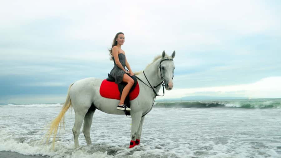 Bali: Sanur Horse Riding for Beginner Experience - Key Things I’d Plan For