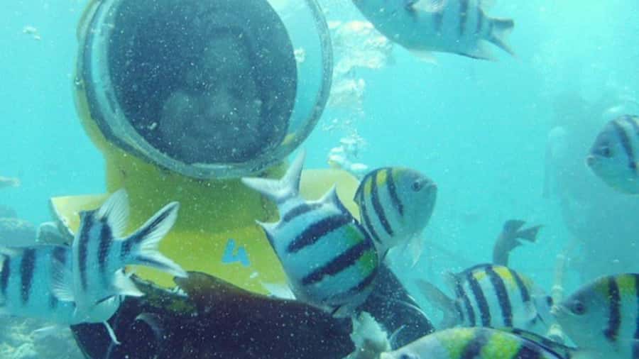 Bali: Sea Walker Under Water Experience - Key things to know before you go