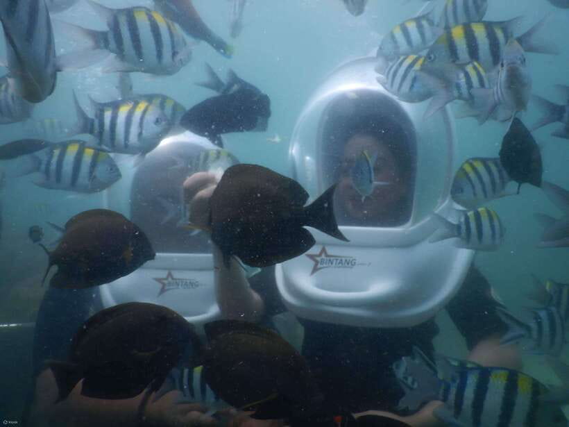 Bali: Sea Walker Water Sport Experience with Hotel Transfer - How the 30 Minute Marine Life Viewing Works (No Swimming Needed)