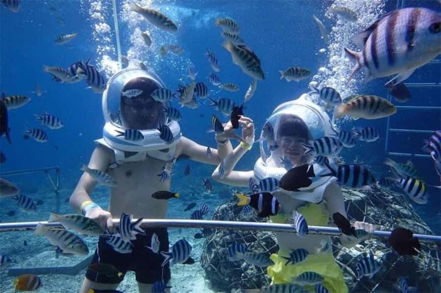 Bali: Sea Walker Watersport Nusa Dua With Hotel Transfer - Key things to know before you go