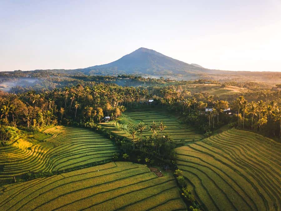 Bali: Secret and Untouristic Tour North West Bali. - North West Bali, Without the Usual Tourist Traffic