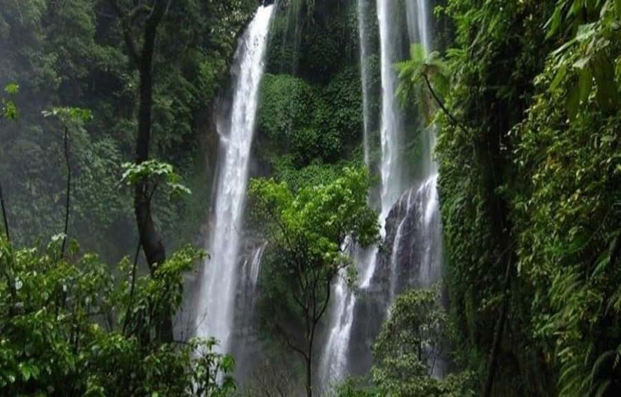 Bali: Secret and Untouristic Tour North West Bali. - Pura Siwa Pujungan Temple, Where a Shiva Statue Started Everything