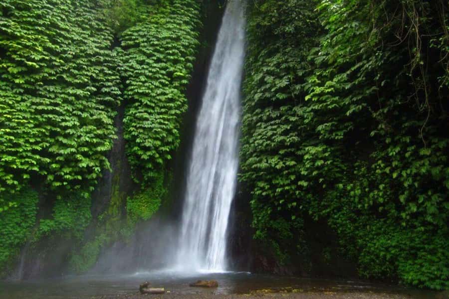 Bali: Secret and Untouristic Tour North West Bali. - Price and Logistics: Does $36 Actually Make Sense?