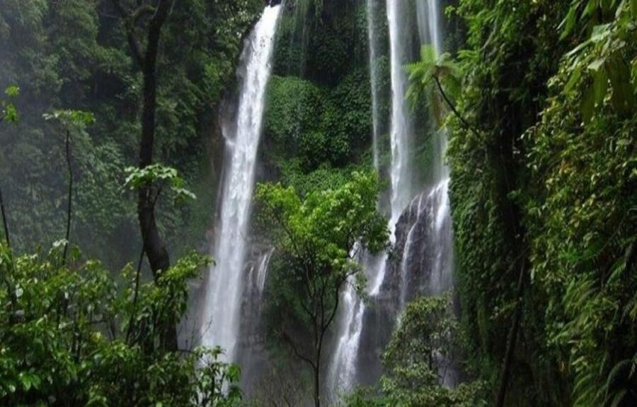 Bali: Secret and Untouristic Tour North West Bali. - What to Pack, Wear, and Plan for This Specific Day