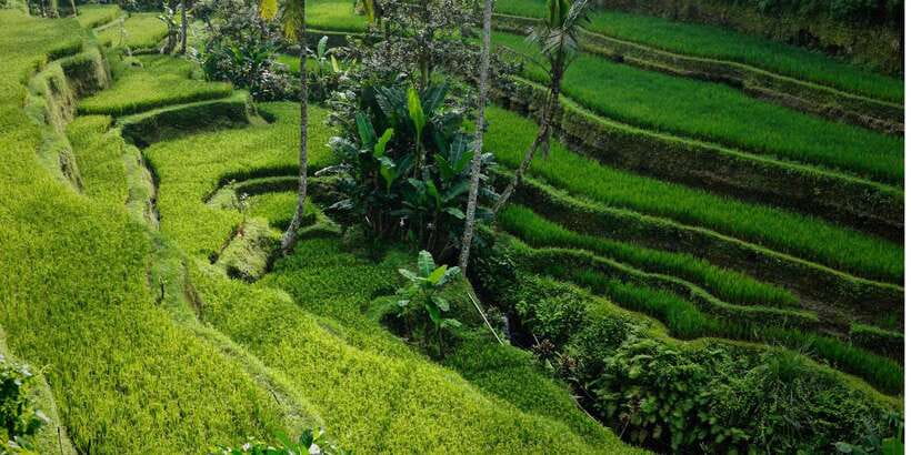 Bali: Secret Garden, Ulun Danu Temple and Waterfall Tour - Secret Garden trekking and Handara Gate photo time