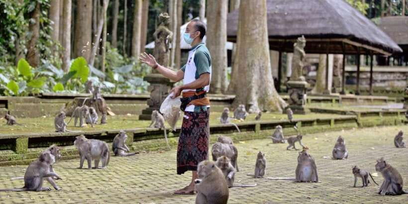Bali Secret Waterfalls with Ulun Danu Beratan Temple Tour - Key highlights worth planning around