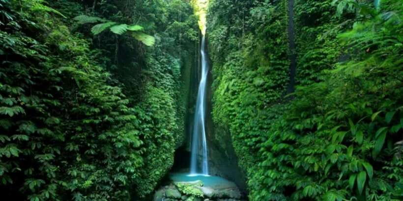 Bali Secret Waterfalls with Ulun Danu Beratan Temple Tour - Sangeh Monkey Forest: macaques, shade, and a more local-feeling stop