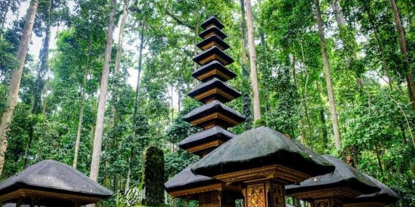 Bali Secret Waterfalls with Ulun Danu Beratan Temple Tour - Jatiluwih Rice Terrace UNESCO walk: mist, wide views, and a manageable stroll
