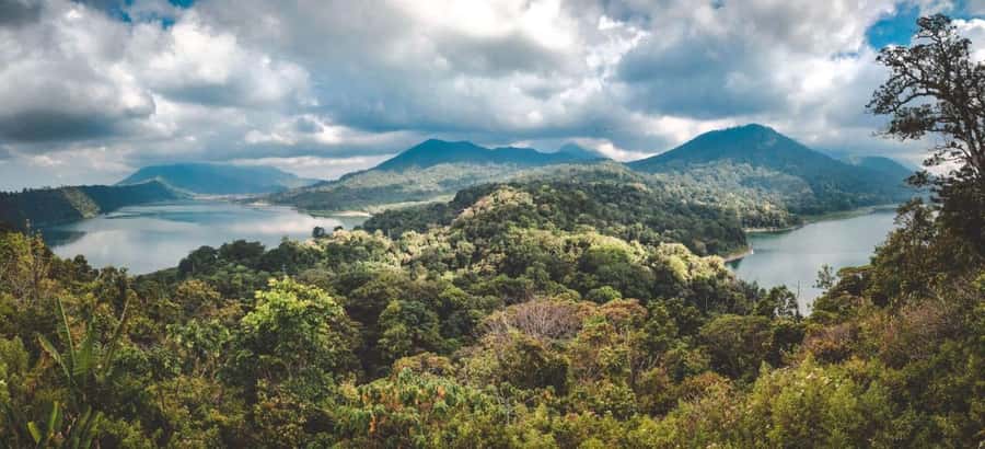 Bali: Sekumpul and Banyumala Waterfall Guided Trek - Why this Sekumpul and Banyumala trek feels different than a quick drive-by
