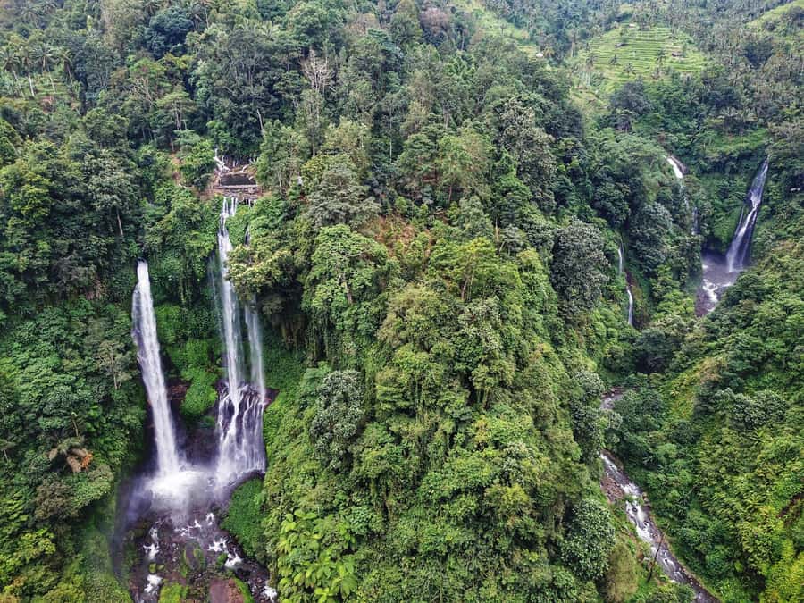 Bali: Sekumpul and Banyumala Waterfall Guided Trek - The walk to Sekumpul: rice fields first, jungle later