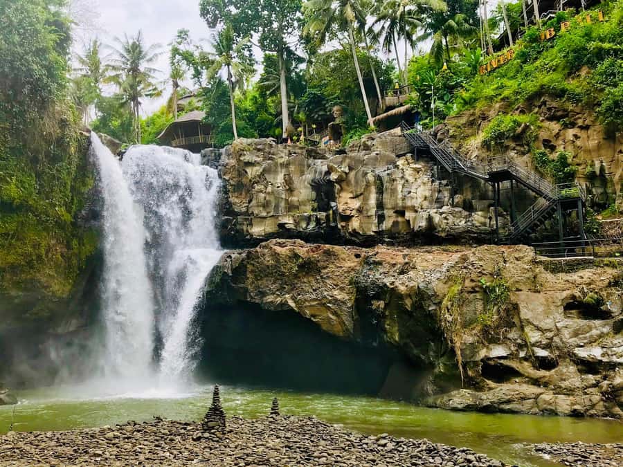 Bali: Shared or Private Highlights Ubud with Cretya Jungle - Key Highlights to Circle