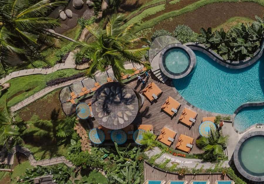 Bali: Shared or Private Highlights Ubud with Cretya Jungle - One Waterfall Choice, How Tegenungan, Tibumana, or Kanto Lampo Changes Your Day