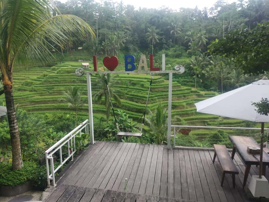 Bali: Shore Excursion for Cruises's passenger -All Inclusive - Wayan, Gusti, and Uda Style: Why the Guide Matters